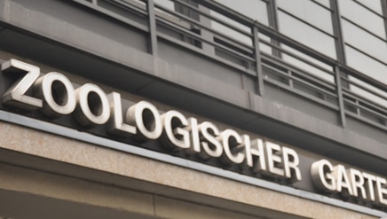 Stricher und das Überleben auf dem Strich – die andere Seite des Geschäfts mit dem Sex