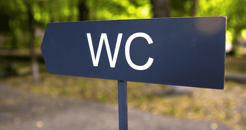 Schild mit der Aufschrift „WC“ vor grünem Hintergrund – Hinweis auf eine öffentliche Toilette als Cruising-Ort.